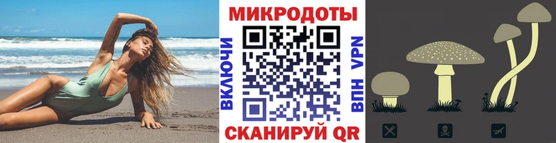 как найти закладки Заринск Псилоцибиновые грибы Magic Shrooms