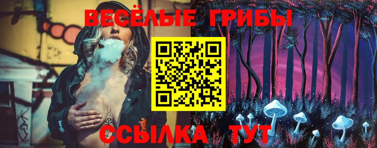 Псилоцибиновые грибы Cubensis Заринск