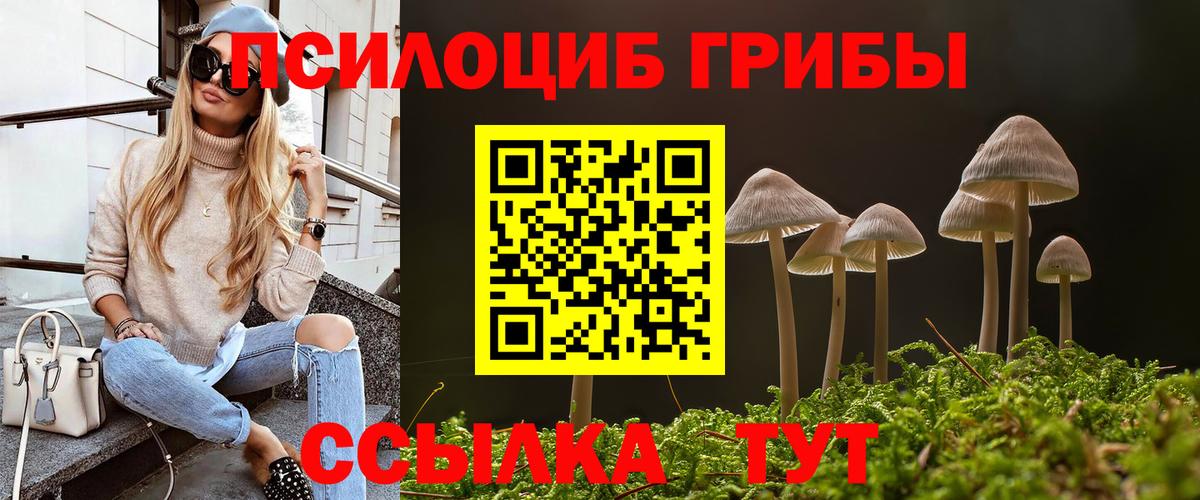 Заринск  Псилоцибиновые грибы Cubensis  даркнет сайт  Вход с VPN  Псилоцибиновые грибы MAGIC MUSHROOMS 
