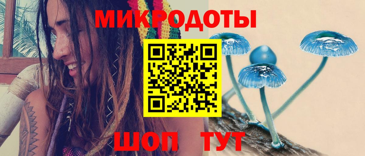 закладки  Заринск  Галлюциногенные грибы Cubensis 