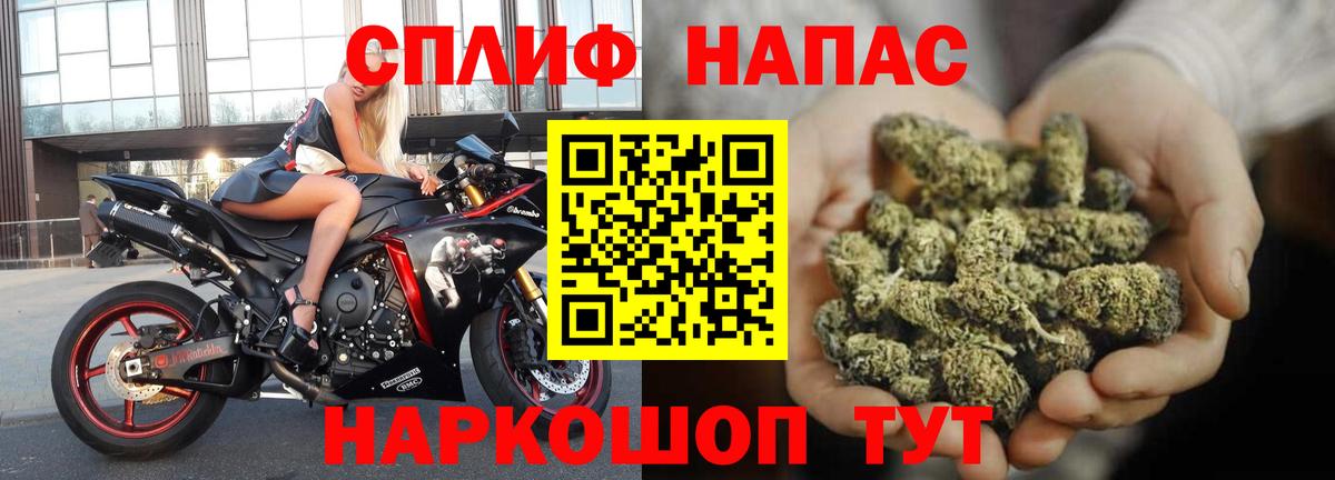 Марихуана гибрид Заринск
